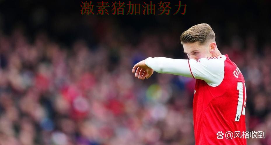 阿森纳防线告急赛后讨论持续升温